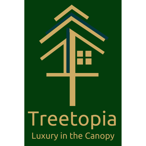 Logo Design & Branding