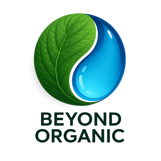 Logo Design & Branding