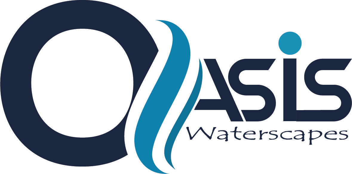 Logo Design & Branding